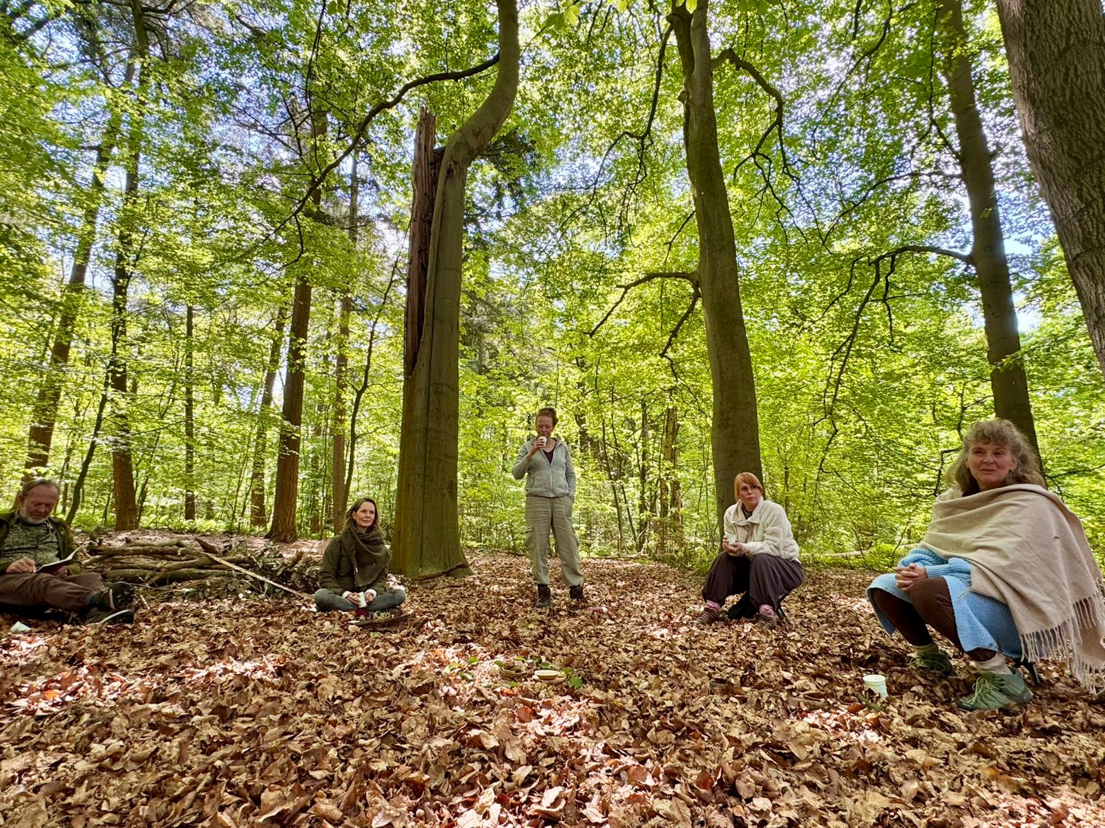 Opleiding Shinrin-Yoku Gids & Natuurverbinding Early Bird / korting 