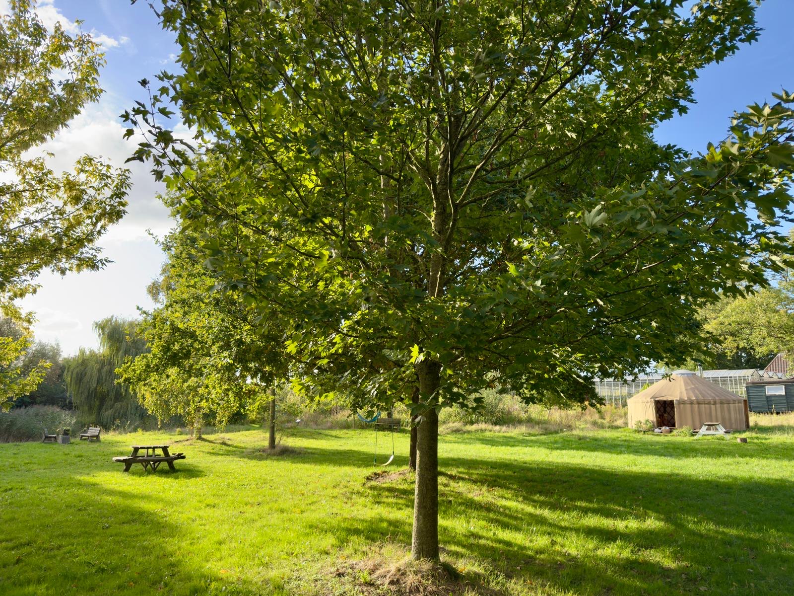 Verwendag- Bring a friend (150,- excl BTW (=181,50 incl. BTW).   Geef je de naam van je vriend(in) door op info@factor-v.nl? Tot dan!