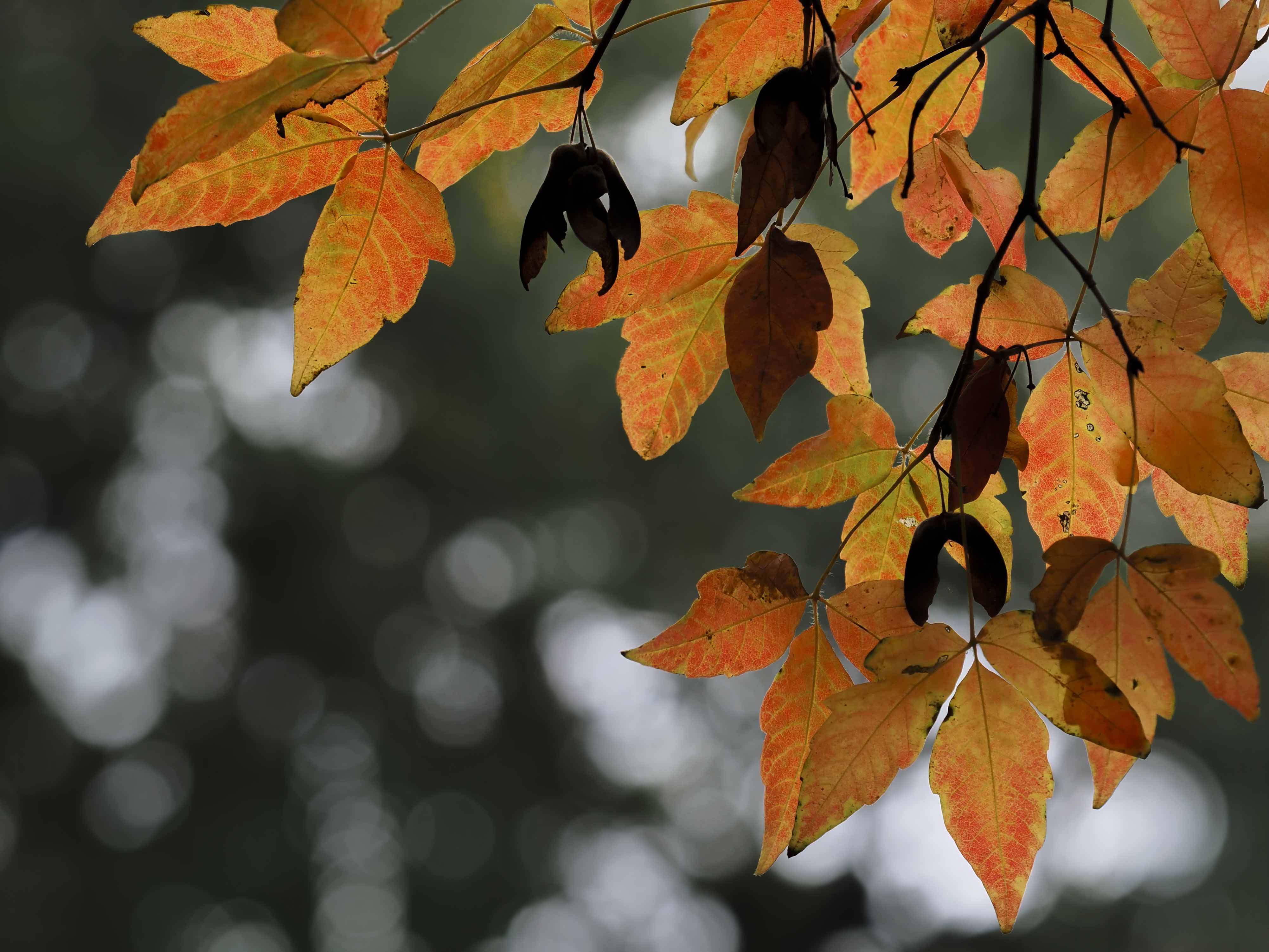 Individuele begeleiding - 8 sessies