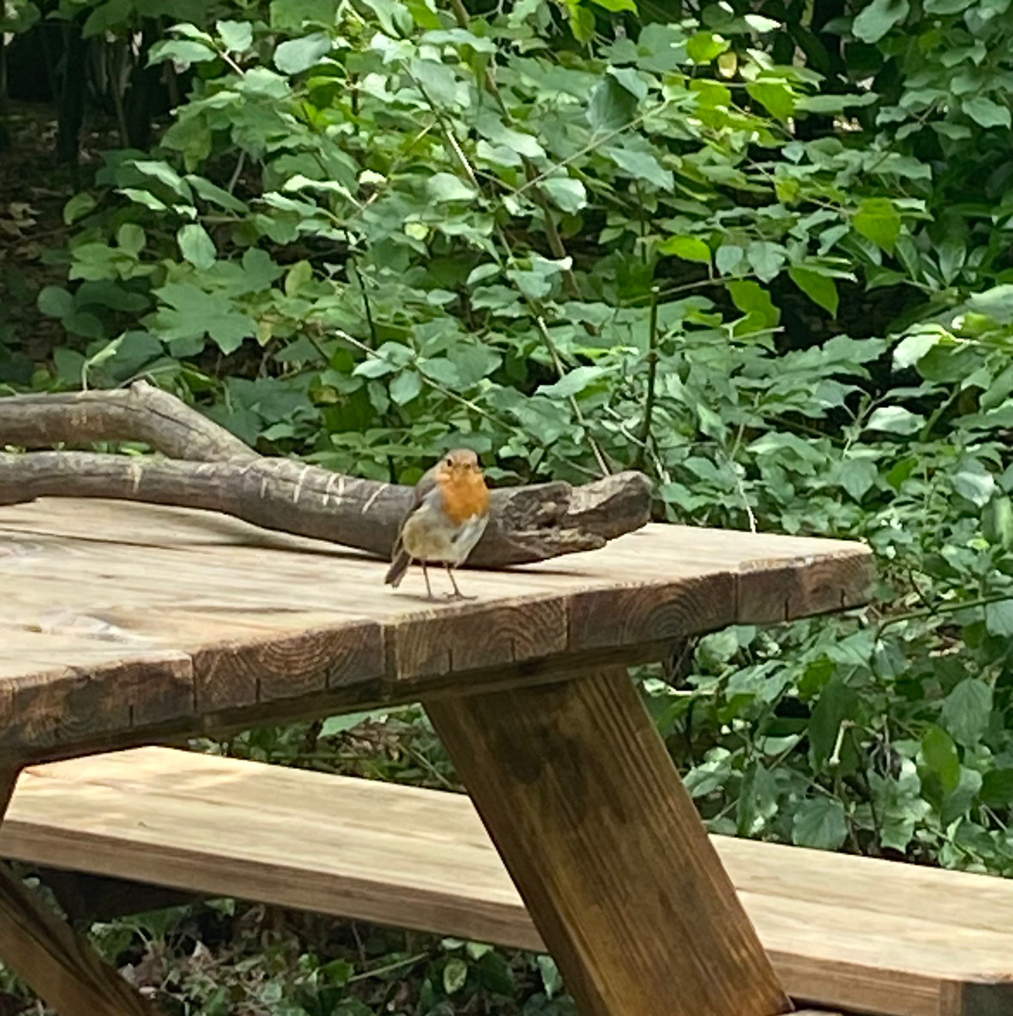 Individuele begeleiding - 1 sessie